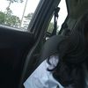 dayra._03.11