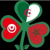 abdkdr66