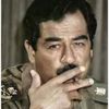 faiz.alkhaldi5