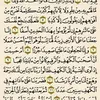 said.ahmed0982