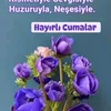 oksijen.suat27