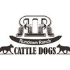 rundownranchcattledogs