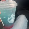jade_s2271