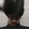 quachminhhiep