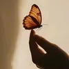 liv5_e