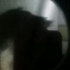 edzzzzz53