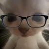 shampodocristiano