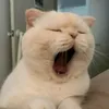 uocmoduoclamtraibao