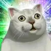 meodenxinhiu_