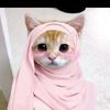 khinkhin.phyoe