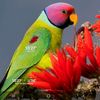 joe0799_