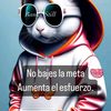 alejandro34229