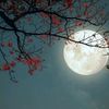 ..bulan_
