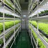 Container Hydroponics