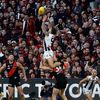 harrypies37