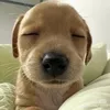 tr0nghoanq28
