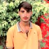 alimardanbalochh