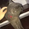 sshhshsnbxhsjsj