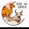 ahmad.safaldi