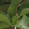 techtoker10.5
