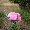user55547216388312