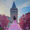 laraib.fatima153