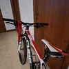 bklf.zid7