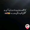 anayasheraz366