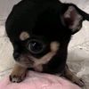 alexel399_1