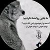 tiktok.com0765586699popa