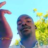 taha.abdala10