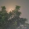 md.aktar.hossen44
