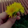 gunel.eliyeva75