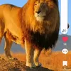 omarbensaleh4