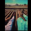 yourx24