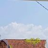 lilac_3420