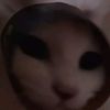 user39004941706157