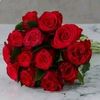 user21999229712245