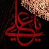 abaas.talib3