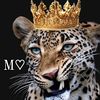 habiba.nabel48