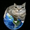 www.kot.na.globyse