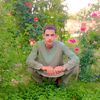 hamadkhan30258
