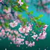 arav1234567890098