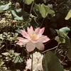 nhjy123