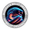 budidaya belut organik