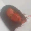 aparecidaferreira270