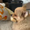 m4rk.affiliate