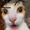 mary_dane_bzovux