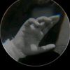 mdrohomot6562