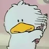 user5381010988524